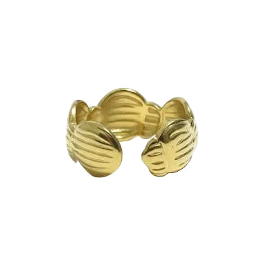 Irregular Link Ring