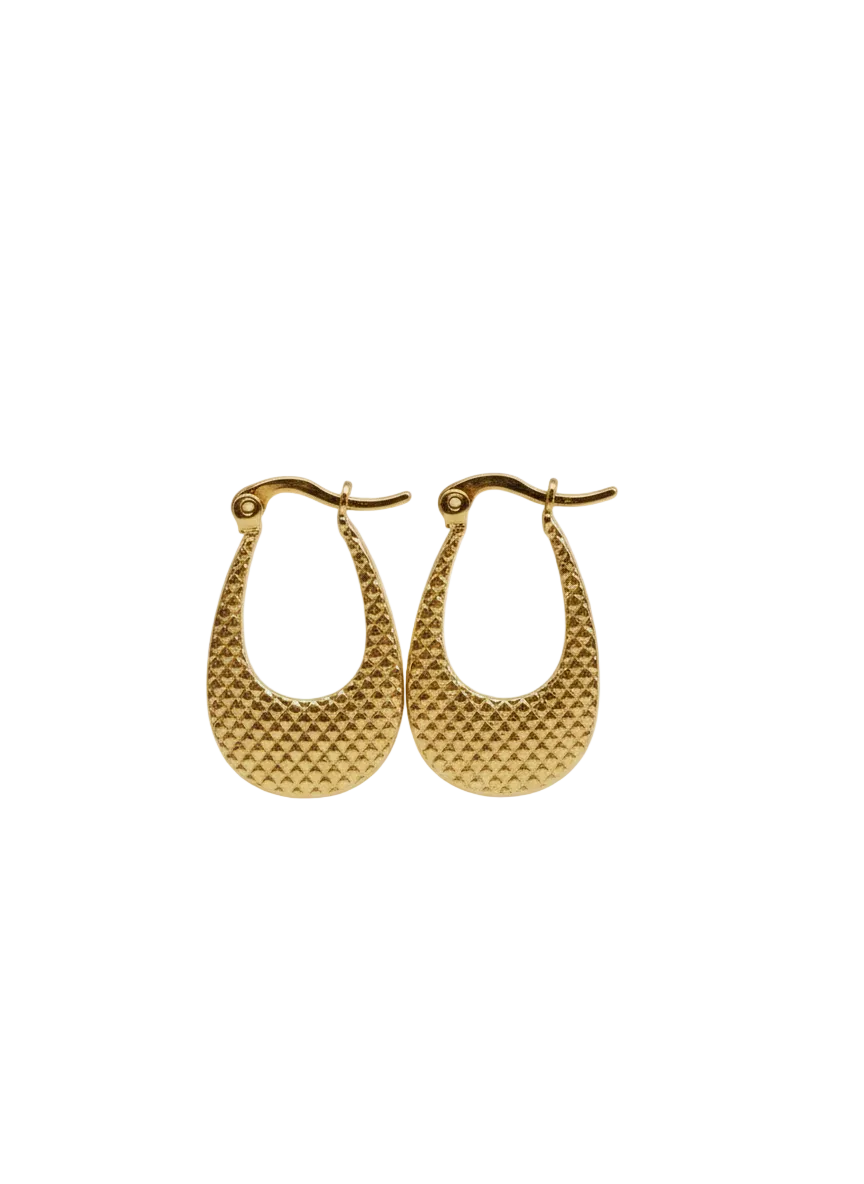 Textured Teardrop Hoop Earrings