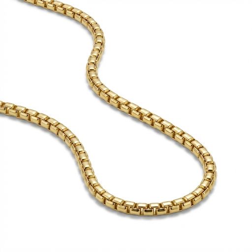 Gold Thick Venetian Box Chain
