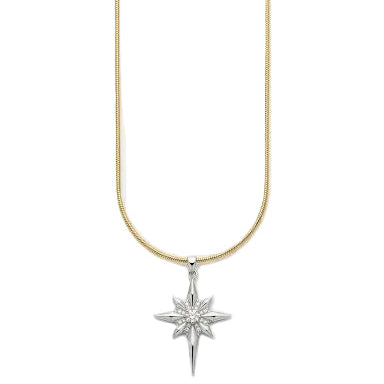 North Star Silver Pendant x Golden Chain