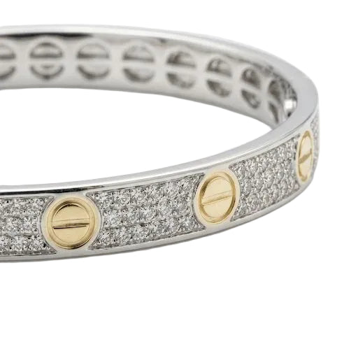 Mixed Leve Unlimited Silver x Gold Bangle