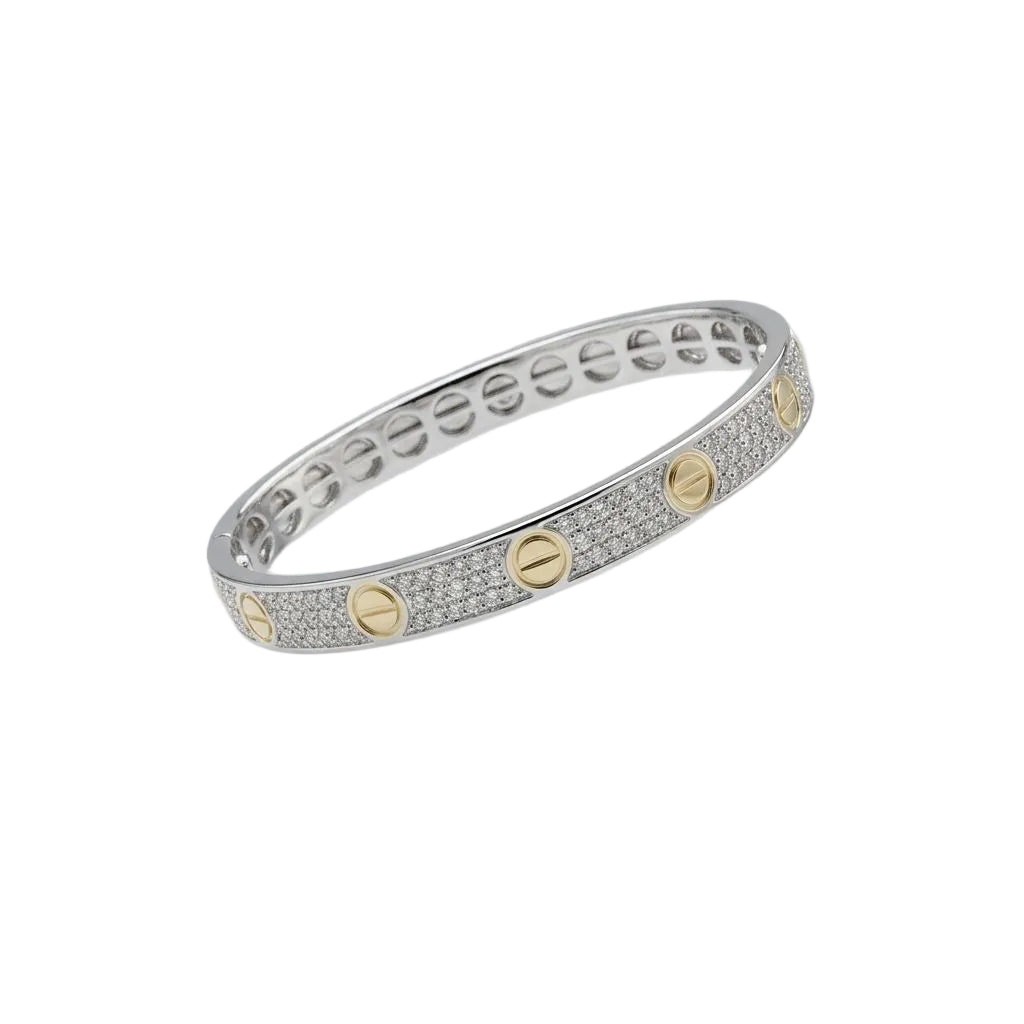 Mixed Leve Unlimited Silver x Gold Bangle